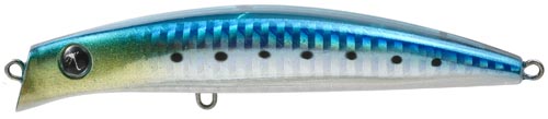 Seaspin Coixedda 100 mm. 100 gr. 16 colore SAR